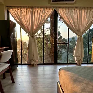 https://bao-sheng-durian-farm.penanghotels.org
